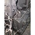 ALLISON 4000 SERIES Transmission Assembly thumbnail 6