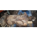 ALLISON MD3060P Transmission Assembly thumbnail 5