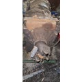 ALLISON MD3560 Transmission Assembly thumbnail 4