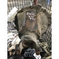 Used Rears (Rear) ALLIANCE R-15-2N for sale thumbnail