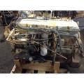 CAT 3116 Engine Assembly thumbnail 1