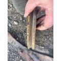 CUMMINS L10 Engine Parts Misc. thumbnail 3