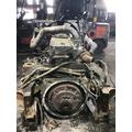 CUMMINS M11 CELECT Engine Assembly thumbnail 2