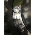 DANA/IHC N-175 Rears (Rear) thumbnail 2