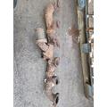 DETROIT 60 SER 12.7 Exhaust Manifold thumbnail 2