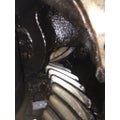 EATON RS405 Rears (Rear) thumbnail 2