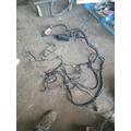 FREIGHTLINER CASCADIA 113BBC Body Wiring Harness thumbnail 4