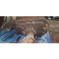 FULLER FRO17210C Transmission Assembly thumbnail 2