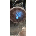 FULLER FRO17210C Transmission Assembly thumbnail 10