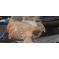 FULLER FRO17210C Transmission Assembly thumbnail 11