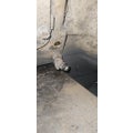 FULLER RTOC16909A Transmission Assembly thumbnail 8