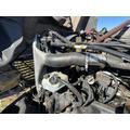 USED Radiator FREIGHTLINER ST120 for sale thumbnail