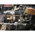INTERNATIONAL DT 466E Engine Assembly thumbnail 4