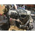 INTERNATIONAL DT 466E Engine Assembly thumbnail 3