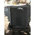 INTERNATIONAL DT 466M Engine Assembly thumbnail 5