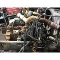 INTERNATIONAL DT 530E Engine Assembly thumbnail 3