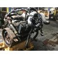 INTERNATIONAL MAXXFORCE 7 Engine Assembly thumbnail 1