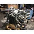 INTERNATIONAL MAXXFORCE DT Engine Assembly thumbnail 3