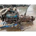 INTERNATIONAL T444 Engine Assembly thumbnail 2