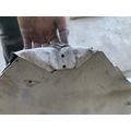 KENWORTH T800 Body Parts Misc. thumbnail 3