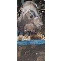 MACK T-310 Transmission Assembly thumbnail 3
