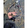 PETERBILT 388 Body Wiring Harness thumbnail 5