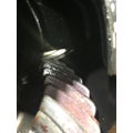 ROCKWELL RS-23-160 Rears (Rear) thumbnail 2