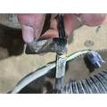   Body Wiring Harness thumbnail 19