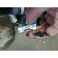   Body Wiring Harness thumbnail 24