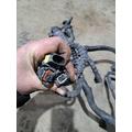   Engine Wiring Harness thumbnail 11