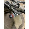   Engine Wiring Harness thumbnail 6